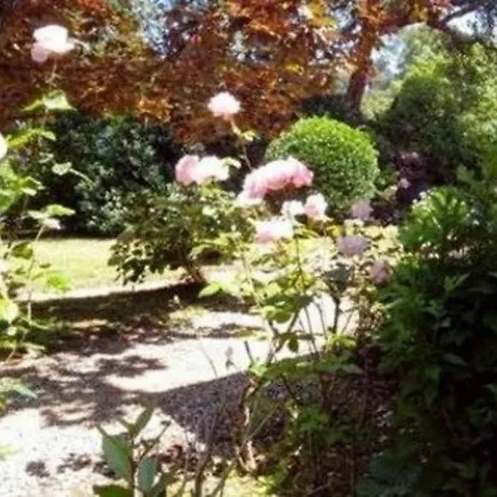 Un Jardin A